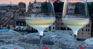 Calici di Stelle a Bassano del Grappa, il programma
