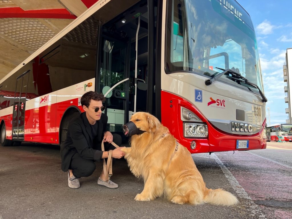 Sì al trasporto di animali sugli autobus, Svt toglie il divieto