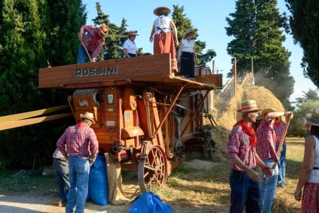 Festa della Trebbiatura a Sandrigo con ricco stand gastronomico