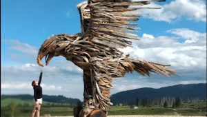 Aquila di Vaia in Altopiano: dove si trova, come raggiungerla