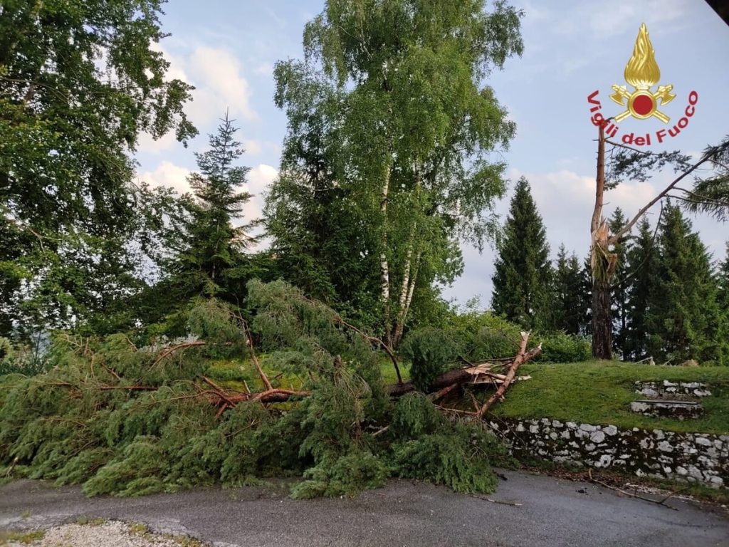 Maltempo sull'Altopiano: alberi abbattutti e cavi elettrici sospesi