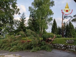 Maltempo sull'Altopiano: alberi abbattutti e cavi elettrici sospesi
