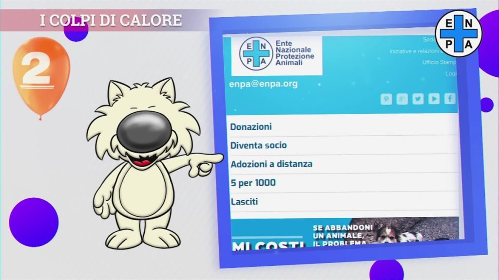 Allarme caldo per gli animali domestici: le cose da evitare quando le giornate sono roventi
