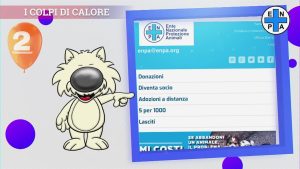 Allarme caldo per gli animali domestici: le cose da evitare quando le giornate sono roventi