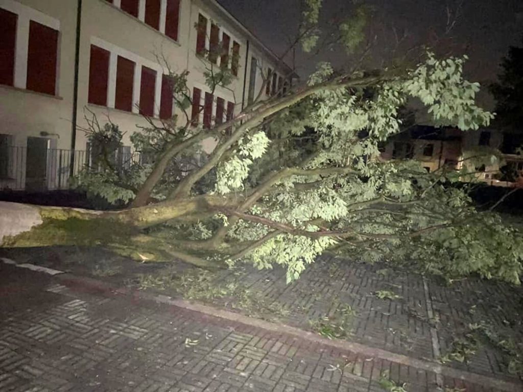 Violenta grandinata nella notte, auto danneggiate e alberi caduti