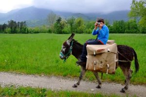 Terre Emerse: festival itinerante sui Colli Berici