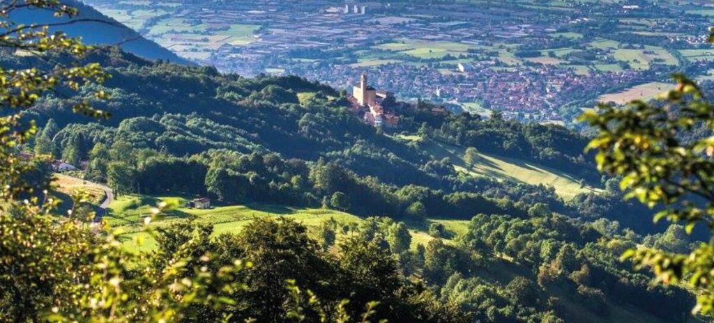 Sagra di San Rocco a San Rocco di Tretto