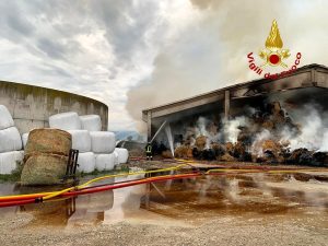 Incendio in un deposito agricolo, bruciano 2500 rotoballe di fieno