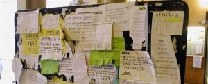 Allarme affitti, Sunia: "Necessario un censimento preciso delle sue proprietà immobiliari"