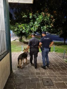 Libero dopo l'arresto viòla il Foglio di Via: fermato e denunciato