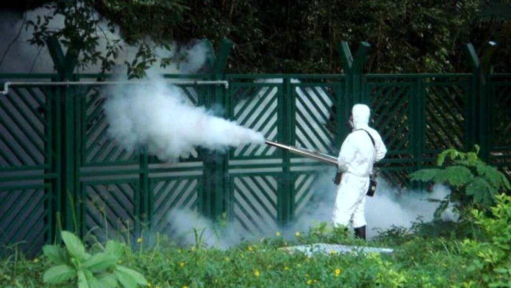 West Nile, primo caso a Vicenza: "Indispensabile la prevenzione"