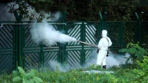 West Nile, primo caso a Vicenza: "Indispensabile la prevenzione"