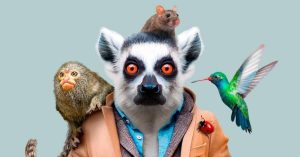 Come si evolveranno gli animali nel futuro?