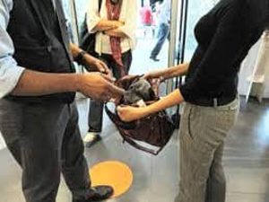 Esce dal tribunale e va a rubare nello stesso posto, arrestato pluripregiudicato 
