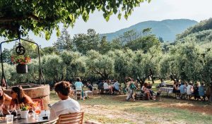 Ferragosto tra le vigne a Magia di Barbarano
