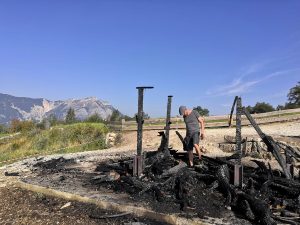 Il Drago Vaia distrutto dal rogo, Martalar: "Avevo previsto i fulmini ma c'ha pensato l'uomo a fare l'incendio"