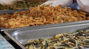 Sagra di Travettore, specialità pesce