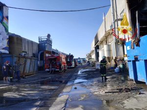 Rogo nel container di una ditta che gestisce rifiuti, colonna di fumo visibile a distanza