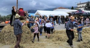 Festa del Ringraziamento e della 'suca' a Salcedo: stand gastronomici, lavori di una volta
