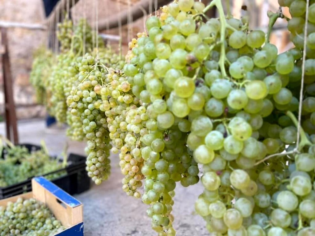 Festa dell’Uva e del Recioto Gambellara: cantine in piazza e stand gastronomico