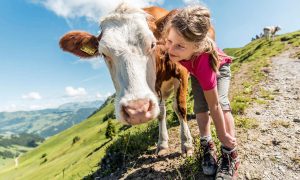 Escursione e come fare il formaggio, con aperitivo al Baito Erio