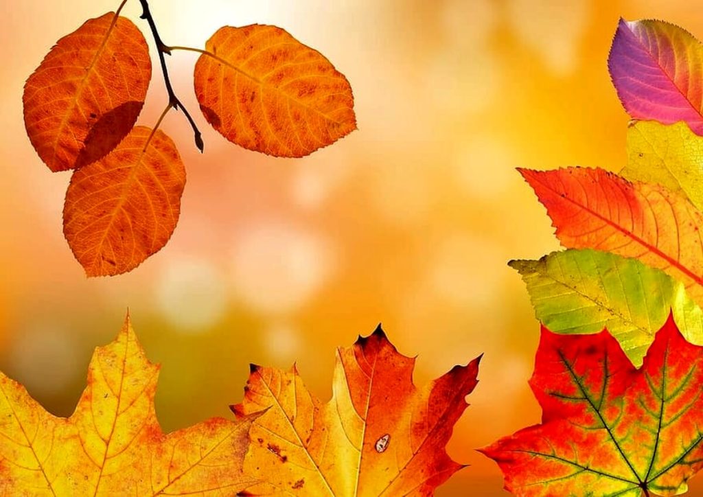 Primo giorno d'autunno: riti, credenze, e perchè inizia il 23 settembre