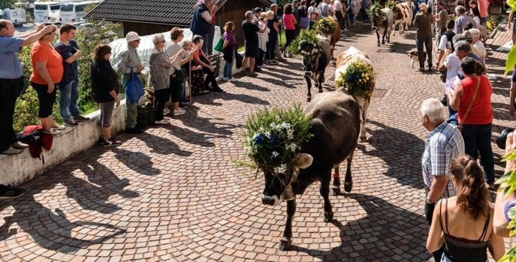 Festa contadina e Fiera dell'agricoltura montana a Valli del Pasubio
