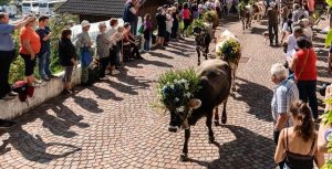 Festa contadina e Fiera dell'agricoltura montana a Valli del Pasubio