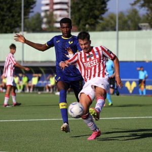 Primavera Tim Cup: il Vicenza espugna il campo dell'Hellas Verona e vola ai sedicesimi