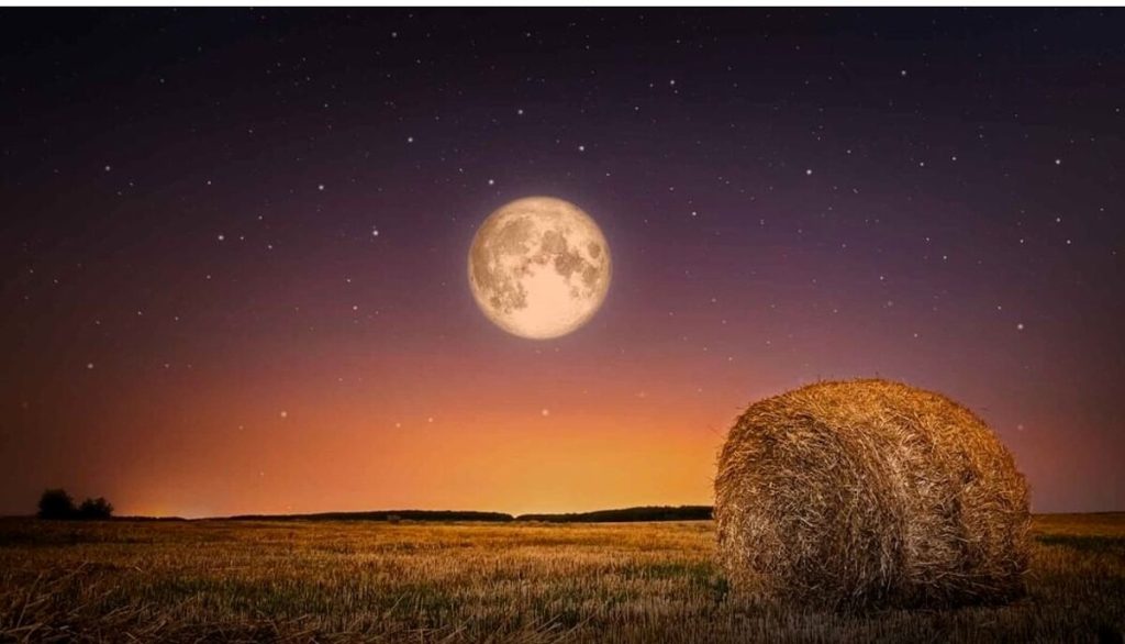 Arriva la Luna Piena del Raccolto, spettacolo in cielo