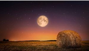 Arriva la Luna Piena del Raccolto, spettacolo in cielo