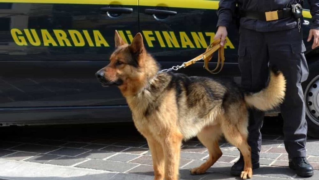 Pioggia di coca sul Veneto, il vertice della rete di spaccio in Albania