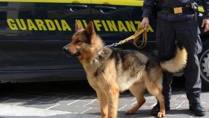 Pioggia di coca sul Veneto, il vertice della rete di spaccio in Albania 