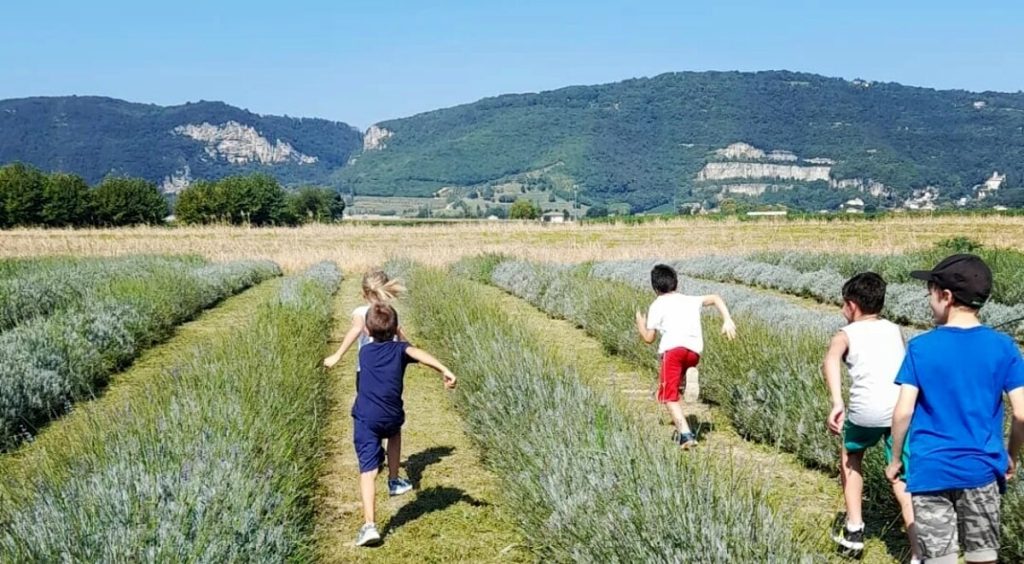 Fattorie didattiche aperte, tutto il programma nel vicentino