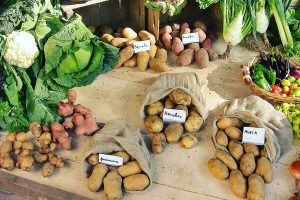 Mostra mercato dei prodotti locali e stand gastronomico con gli gnocchi a Posina