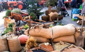 Festa del Ringraziamento e dell'Agricoltura a Catrano