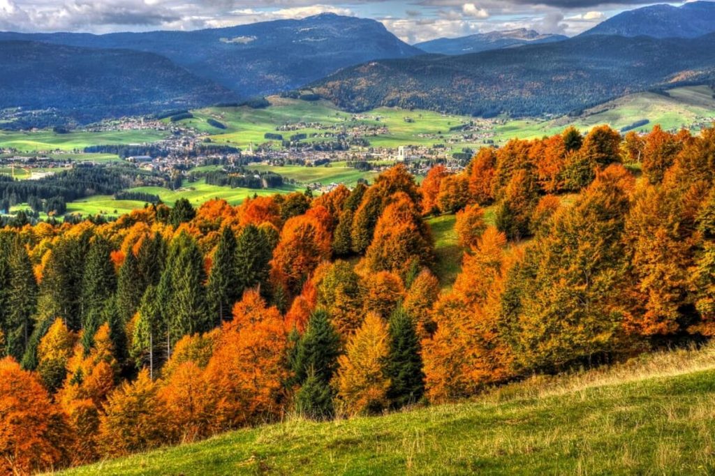 “Asiago Foliage”, la festa con i colori e sapori dell'Autunno