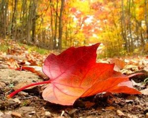 L'estate ottobrina sta per finire, da domenica si cambia registro