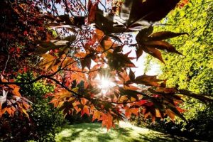 Assaggi d'autunno: le previsioni per il fine settimana