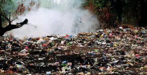 Rapporto Ecomafie Veneto 2023, Vicenza seconda provincia per numero di reati