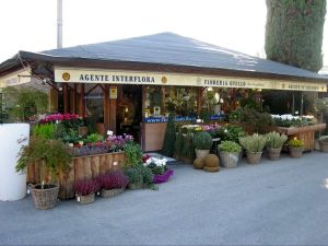 Furti a raffica in città, Polizia intercetta il ladro in Campo Marzo