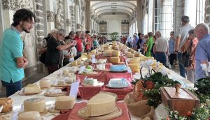 Migliori formaggi vicentini, tutti i premiati a Caseus