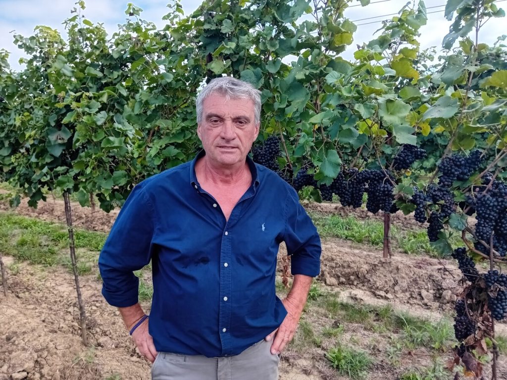 Agricoltura berica da record, 60 mln di capitale assicurato