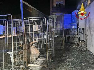 In fiamme il retro del supermercato, i pompieri salvano la struttura