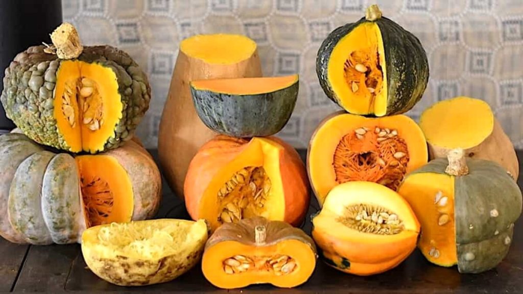 Zucca il 'superfood' per cuore, nervi e umore, come usarla in cucina