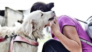 I love My Pet: un weekend a 4 zampe all’Emisfero di Bassano