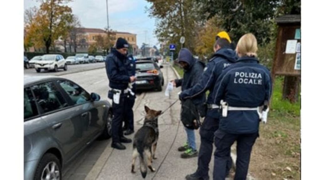 Parcheggiatori abusivi, blitz della Polizia locale al San Bortolo
