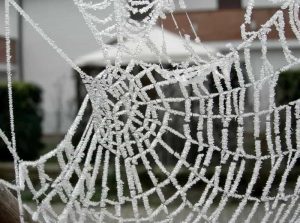 Arriva il freddo: le previsioni di fine novembre