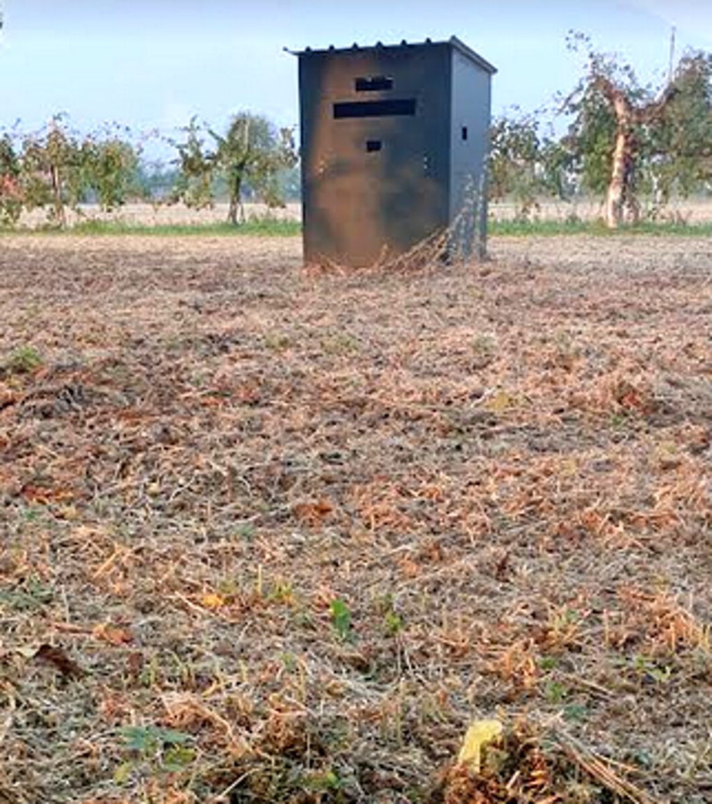 Gatto ucciso a colpi di fucile: rintracciato il cacciatore