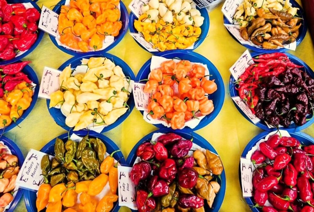 Mercatino regionale piemontese in Piazza dei Signori